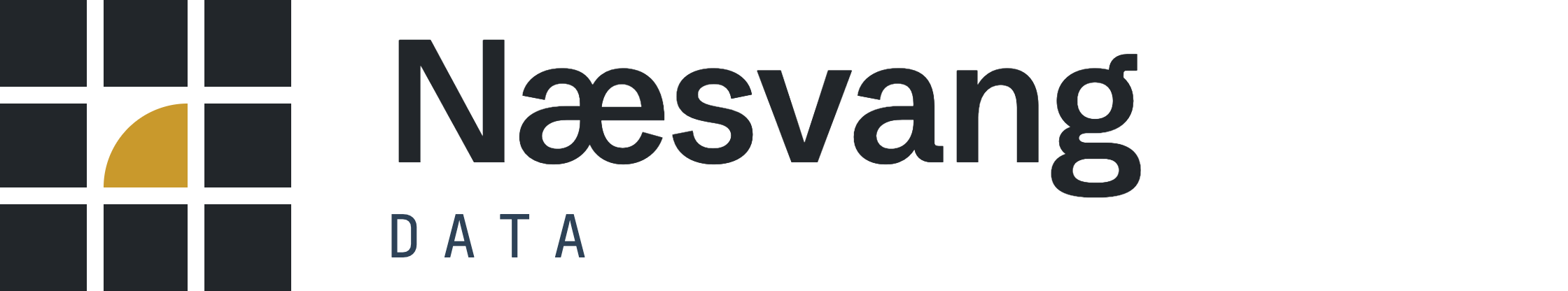 Næsvang Data